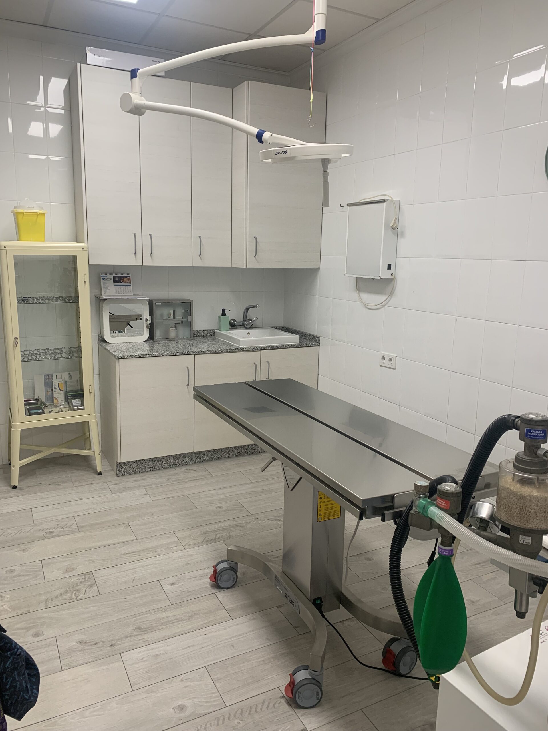 Área de peluquería y baño canino especializado
